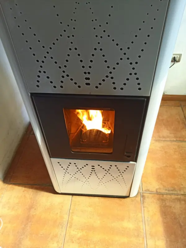 Estufa a pellet encendida